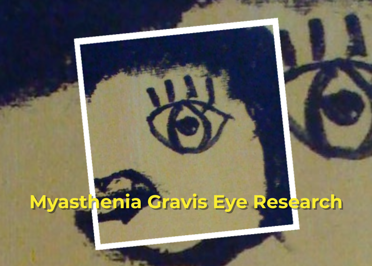 Suzann's Research Paper